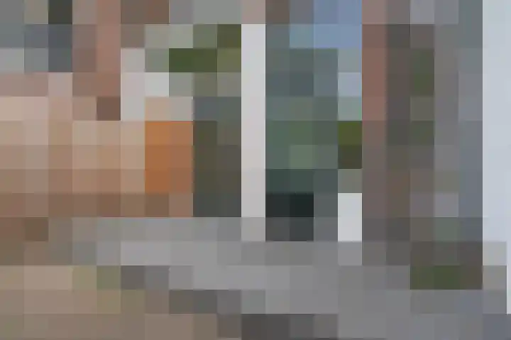 De Wiltstraat 107 Arnhem thumbnail 19