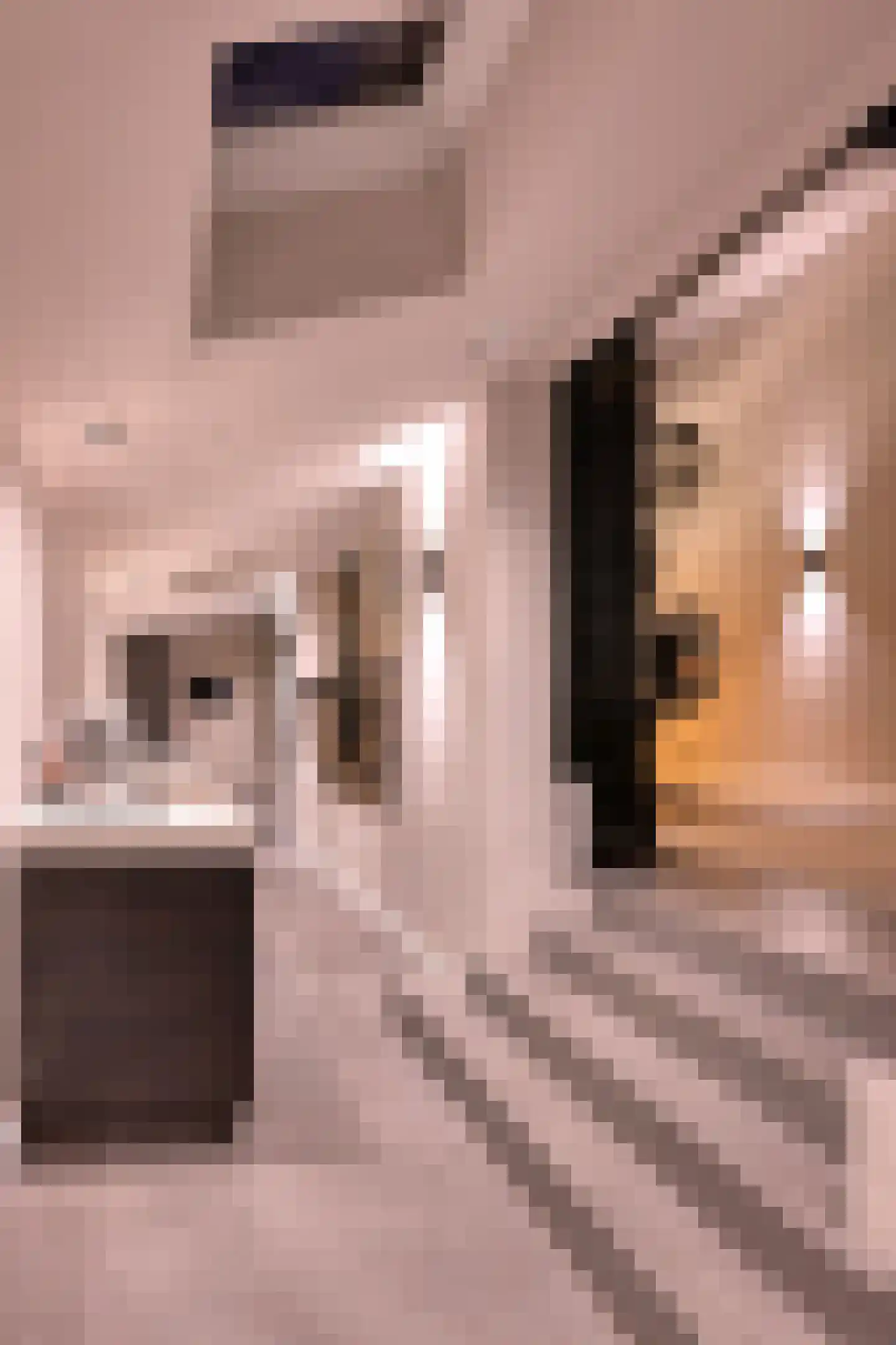 De Wiltstraat 2 Arnhem thumbnail 6