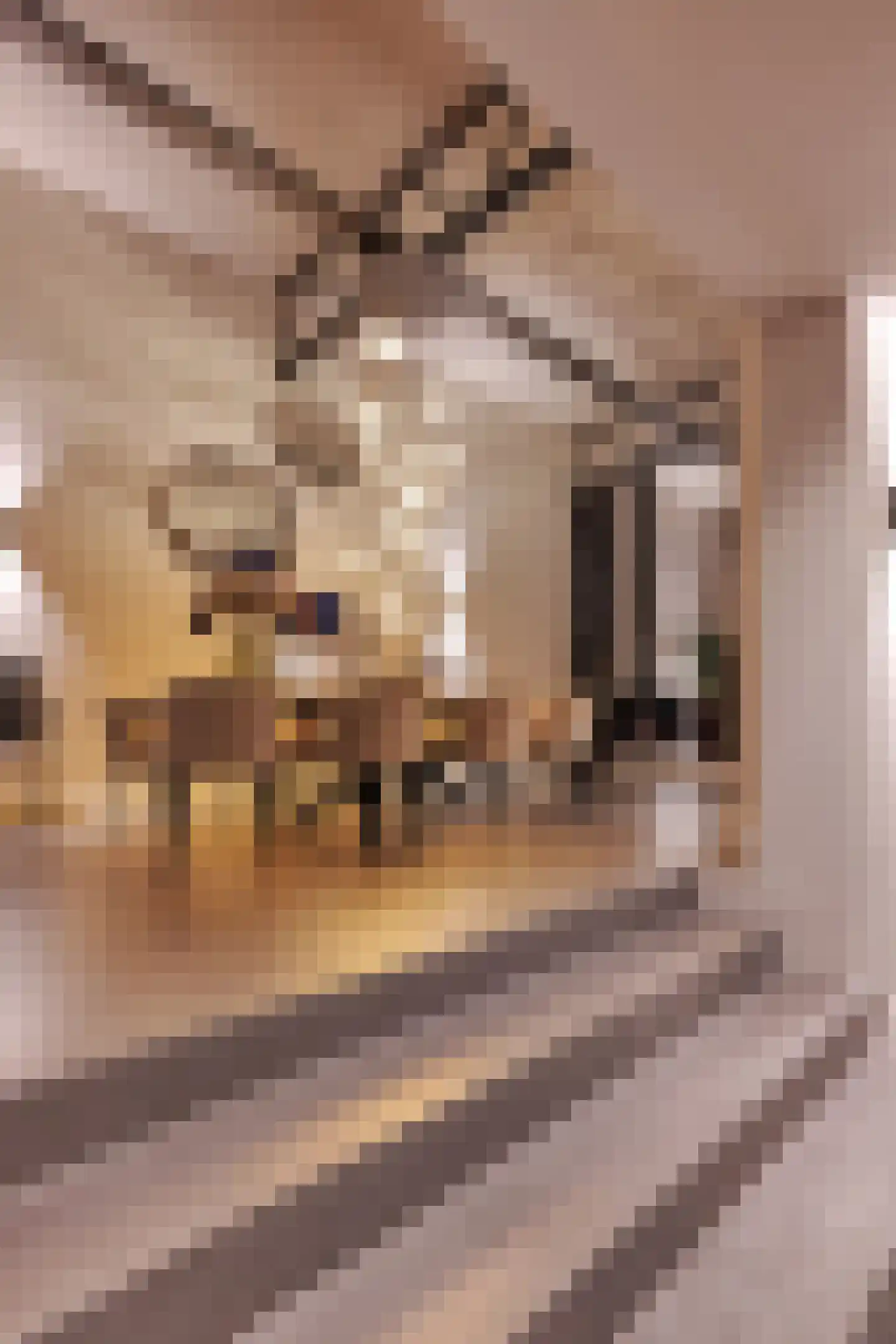 De Wiltstraat 2 Arnhem thumbnail 7