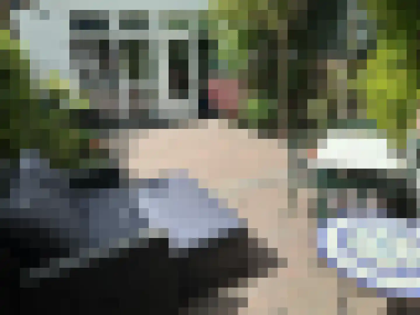 De Wiltstraat 28 Arnhem thumbnail 30