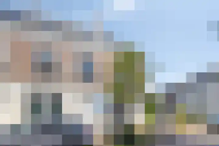 De Wiltstraat 3 Arnhem thumbnail 27
