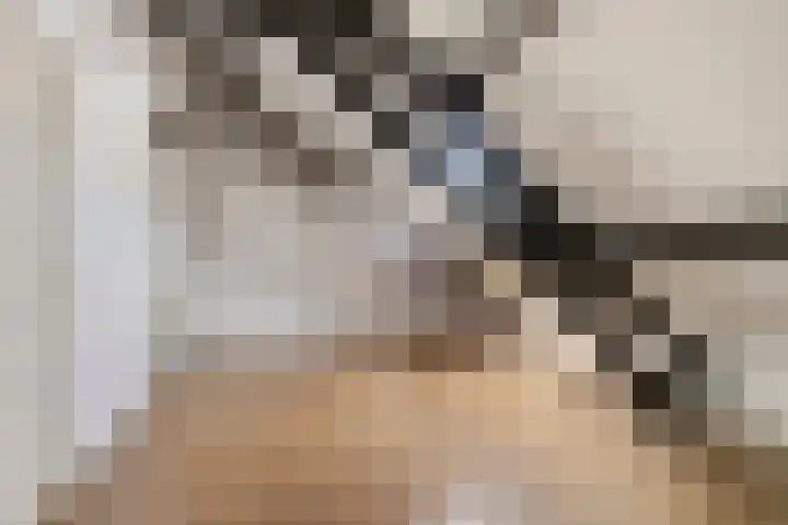 De Wiltstraat 33 Arnhem thumbnail 25