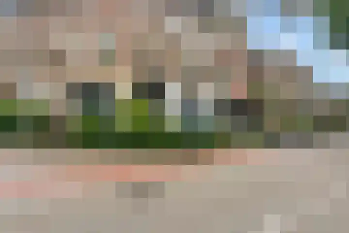De Wiltstraat 33 Arnhem thumbnail 38