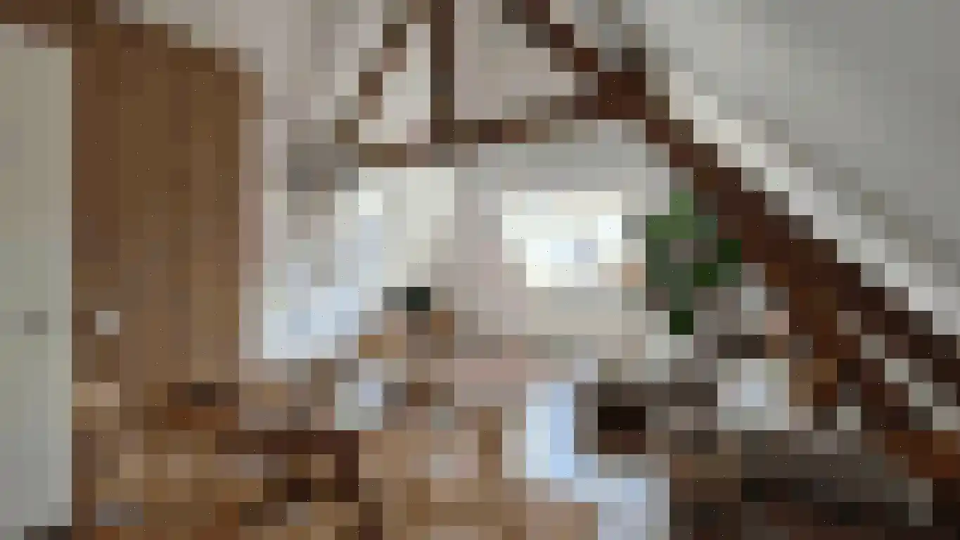 De Wiltstraat 87 2 Arnhem thumbnail 25