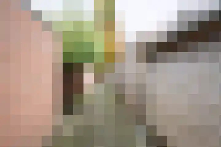 De Wimme 7 Brummen thumbnail 17
