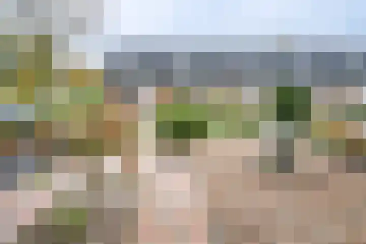 De Wimme 7 Brummen thumbnail 18