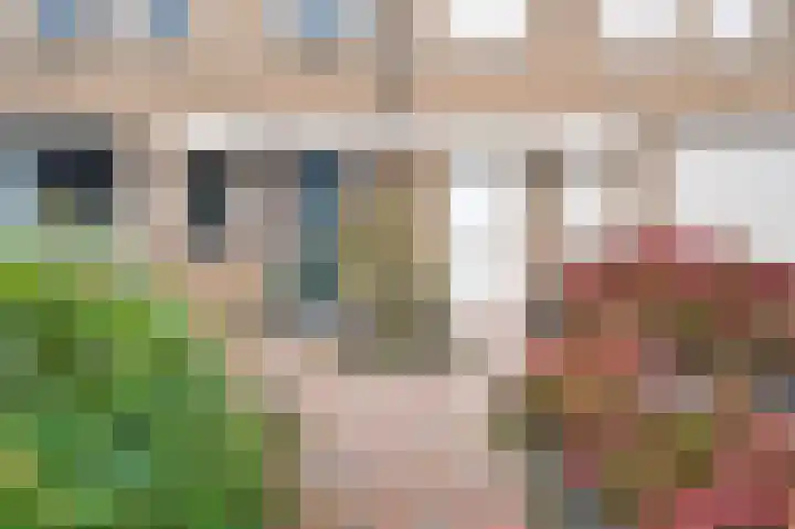 De Wimme 7 Brummen thumbnail 20