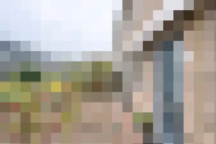 De Wimme 7 Brummen thumbnail 21