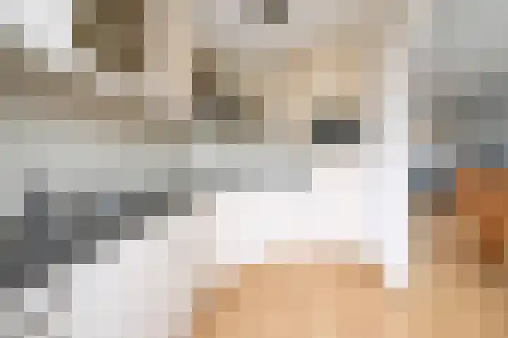 De Wimme 7 Brummen thumbnail 4