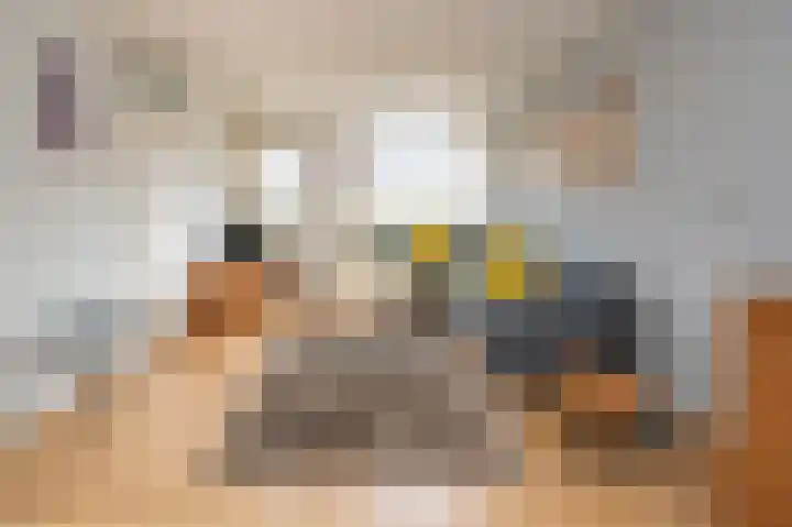 De Wimme 7 Brummen thumbnail 6