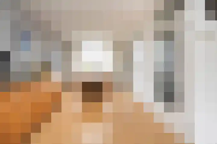 De Wimme 7 Brummen thumbnail 7