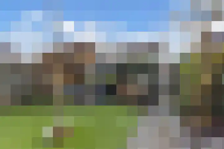 de Wimpel 10 Heerenveen thumbnail 34