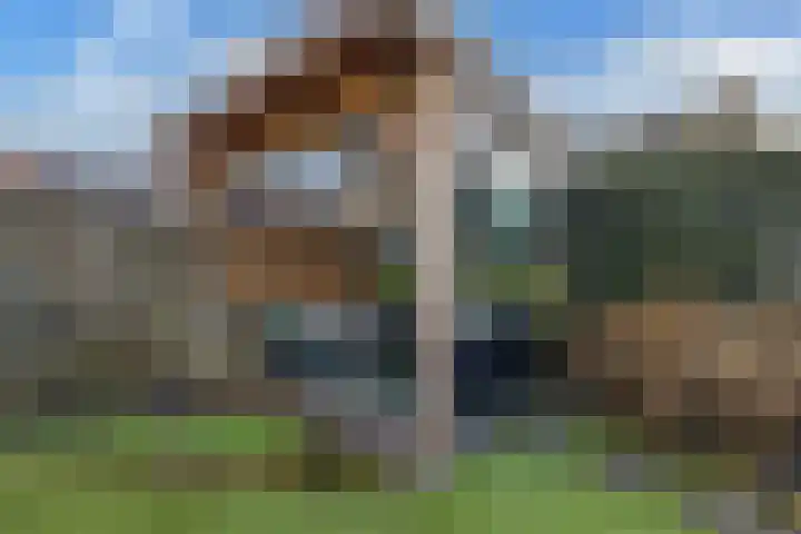 de Wimpel 10 Heerenveen thumbnail 35