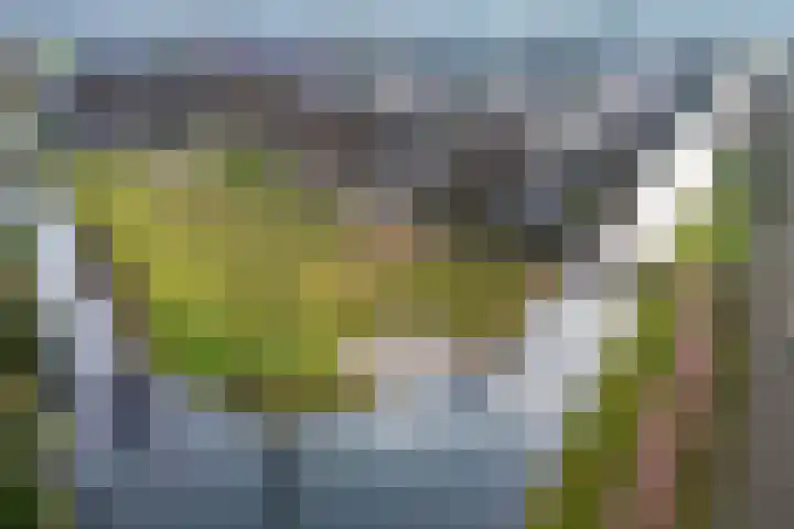 de Wimpel 10 Heerenveen thumbnail 51