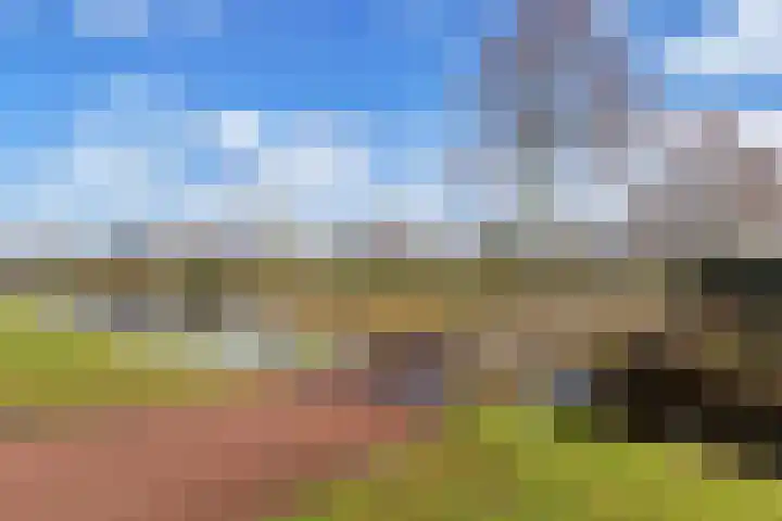 de Wimpel 10 Heerenveen thumbnail 53