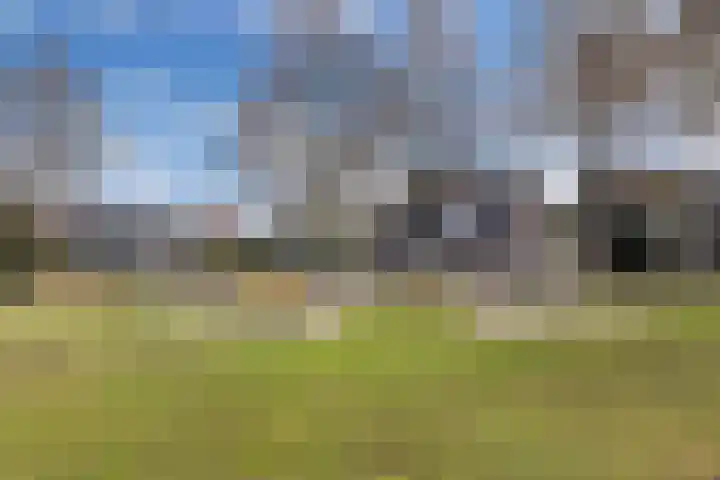 de Wimpel 10 Heerenveen thumbnail 55