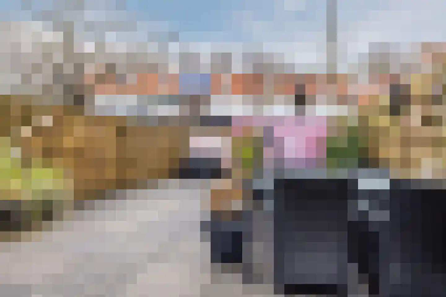 de Windhond 7 Hellevoetsluis thumbnail 30