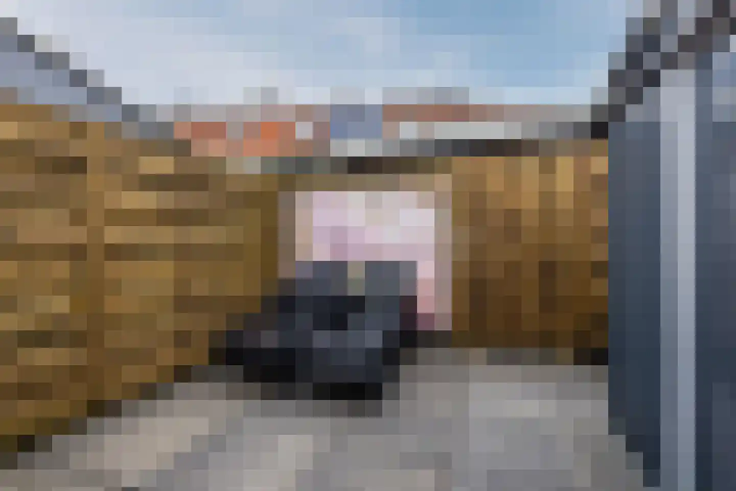 de Windhond 7 Hellevoetsluis thumbnail 32