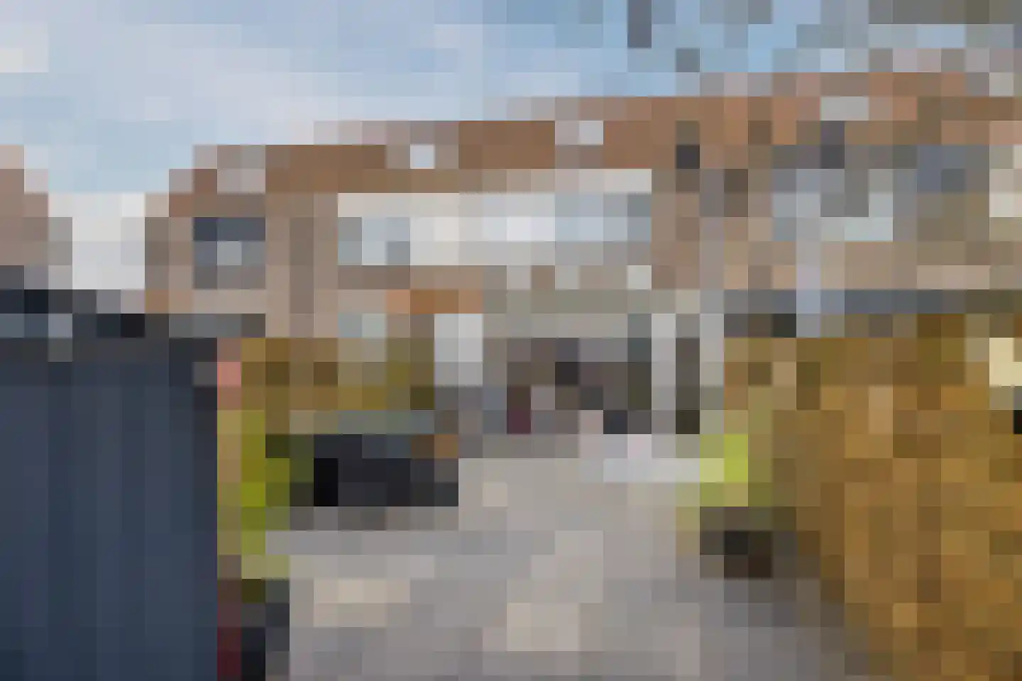 de Windhond 7 Hellevoetsluis thumbnail 33