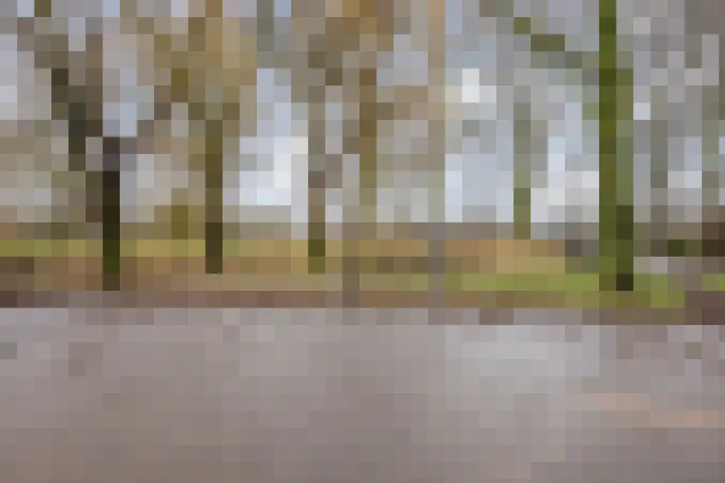 de Windhond 7 Hellevoetsluis thumbnail 35