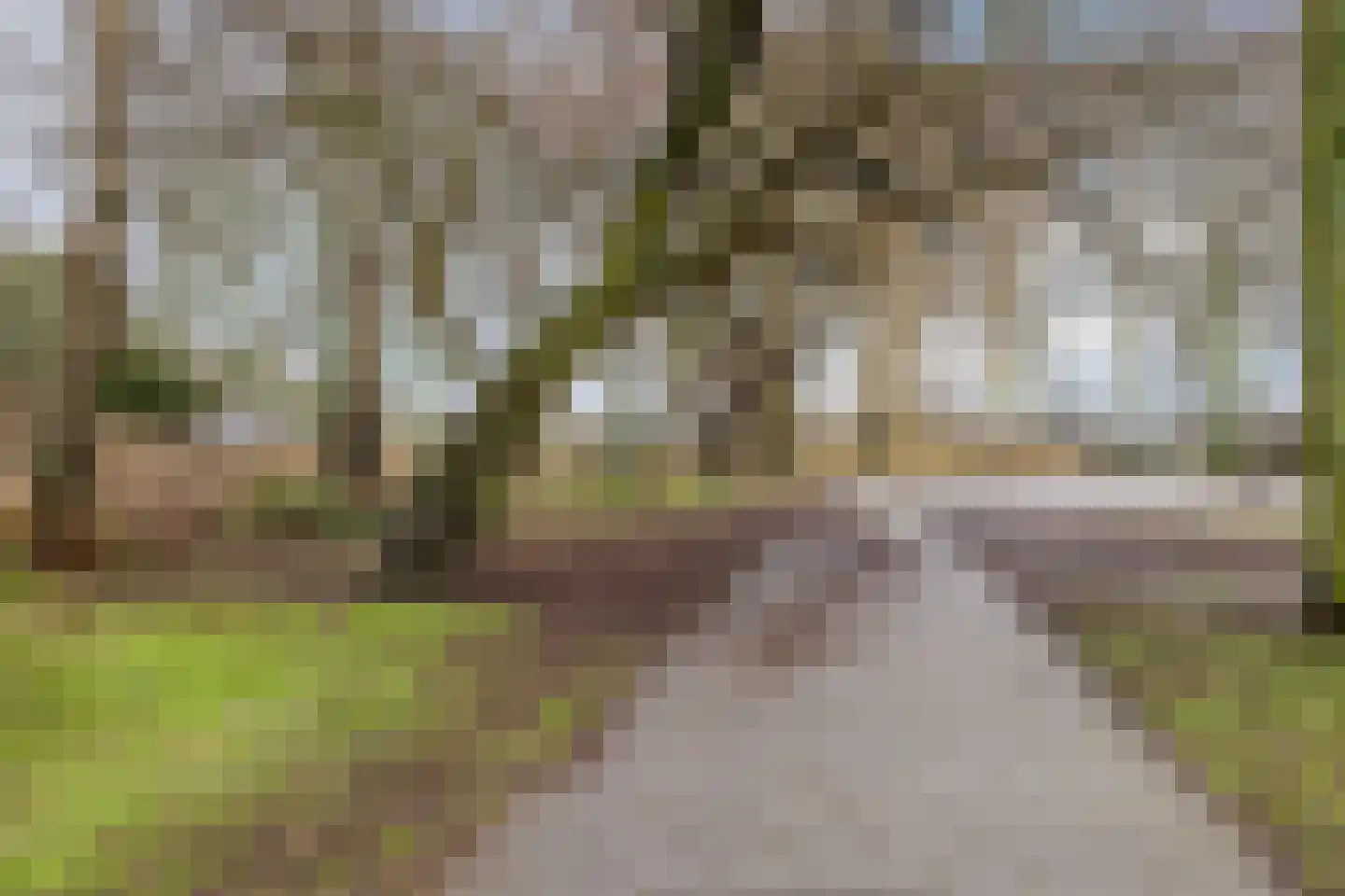 de Windhond 7 Hellevoetsluis thumbnail 36