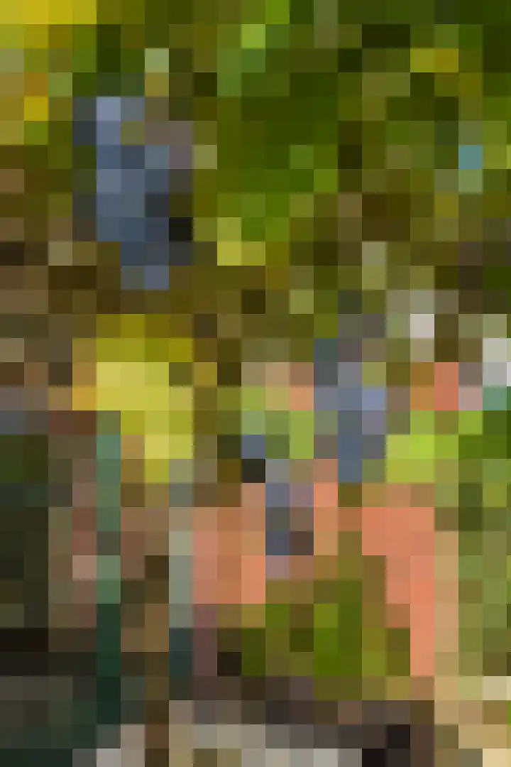 De Windjager 27 Oostzaan thumbnail 33