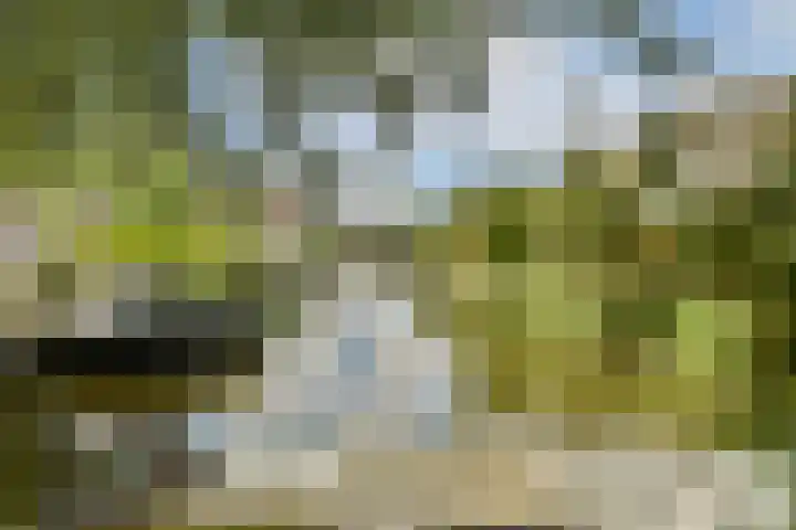 De Windjager 27 Oostzaan thumbnail 36