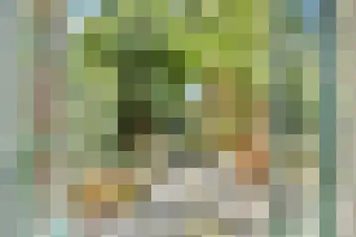 De Windjager 27 Oostzaan thumbnail 5