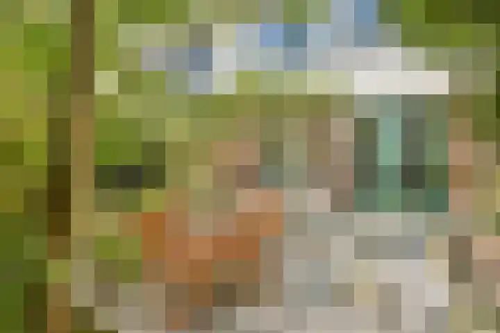 De Windjager 27 Oostzaan thumbnail 8