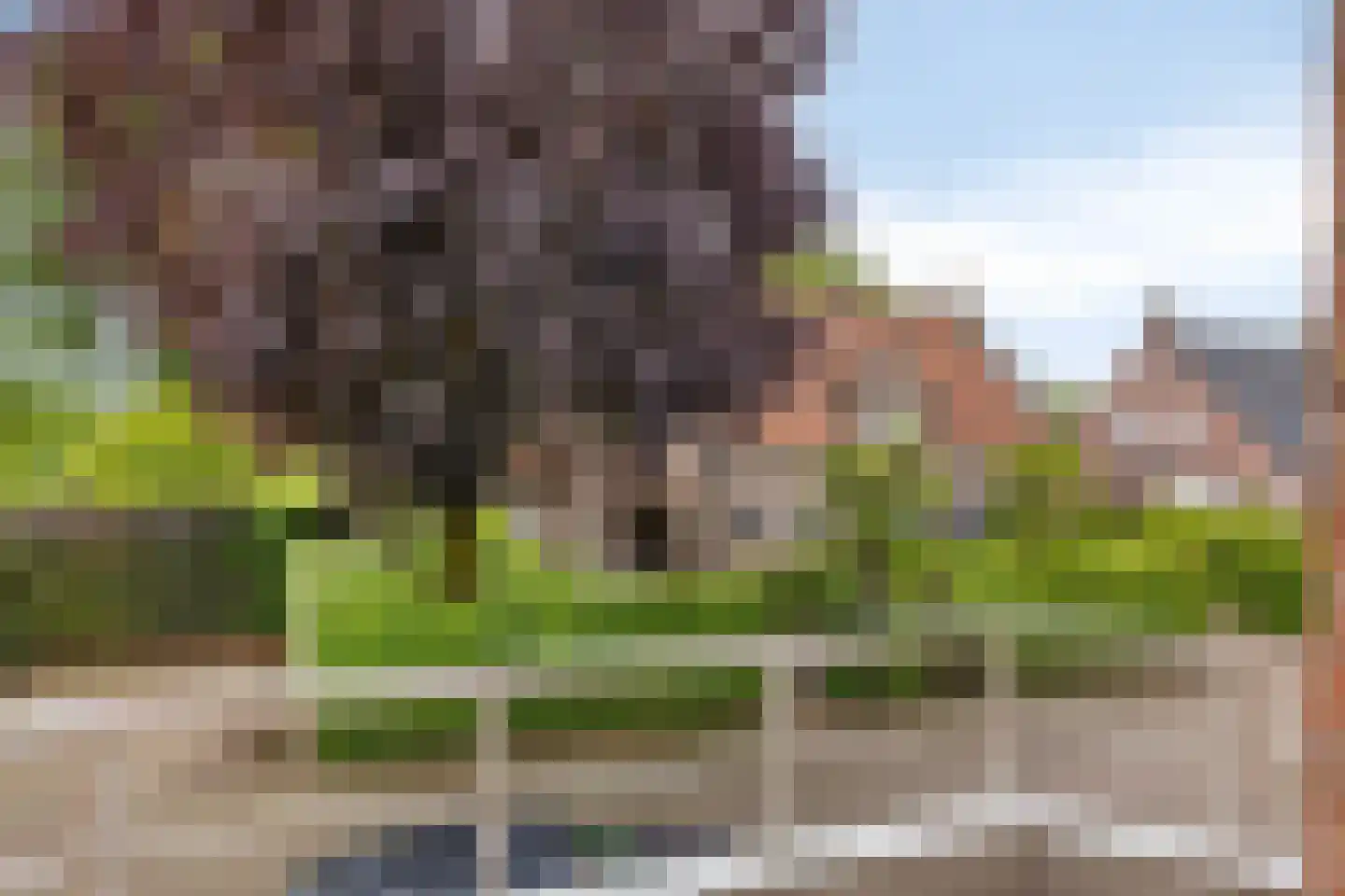 de Windmulder 5 Valkenswaard thumbnail 22