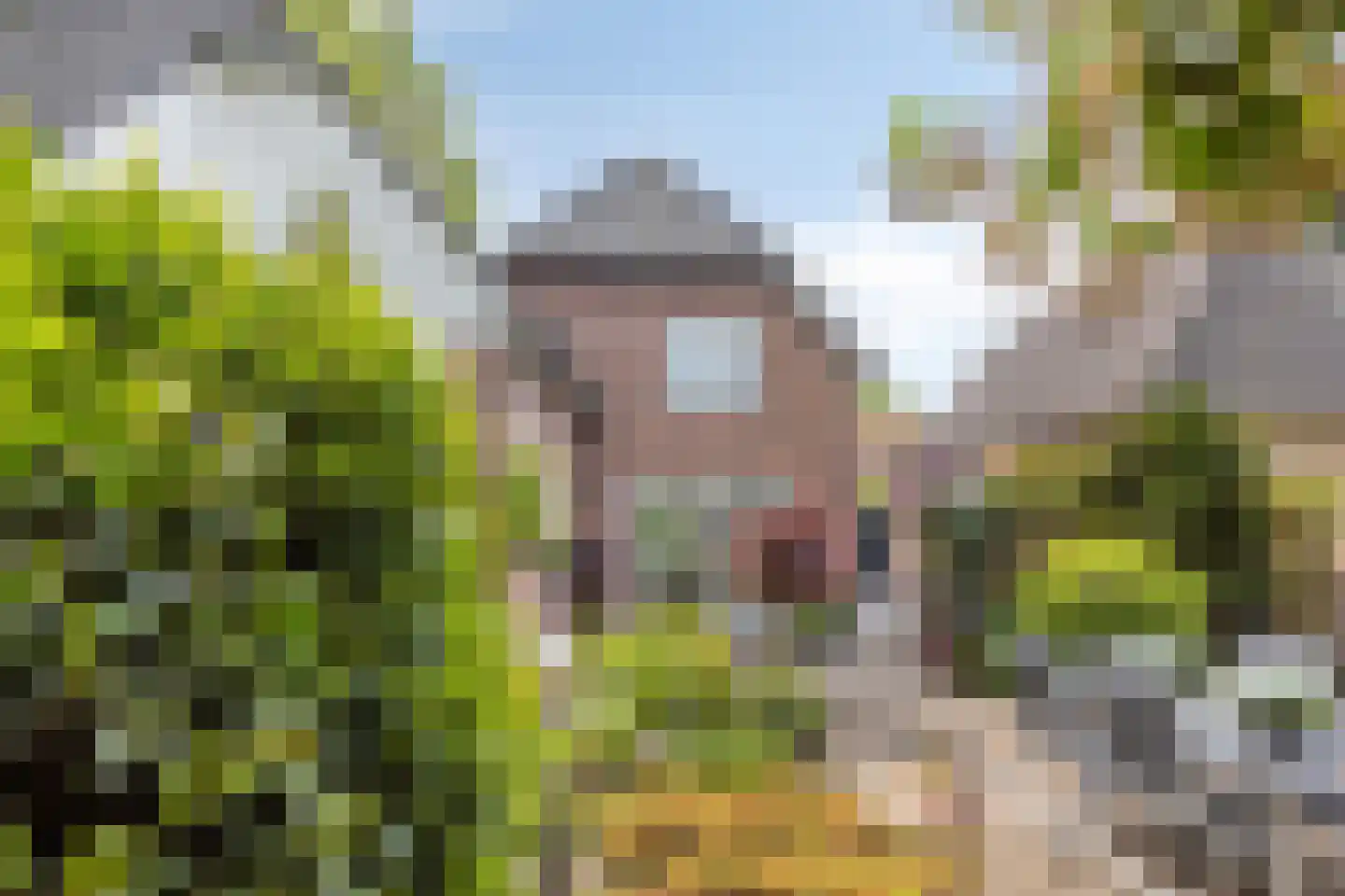 de Windmulder 5 Valkenswaard thumbnail 32