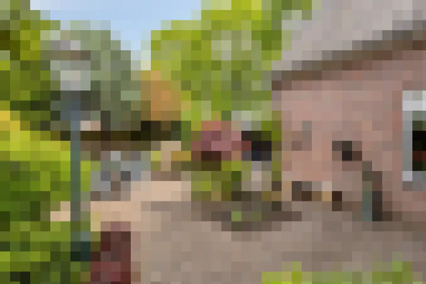 de Windmulder 5 Valkenswaard thumbnail 33