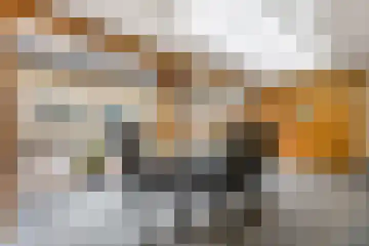 De Windroos 38 Gendt thumbnail 35