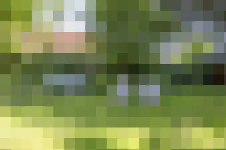 De Windroos 48 Gendt thumbnail 5