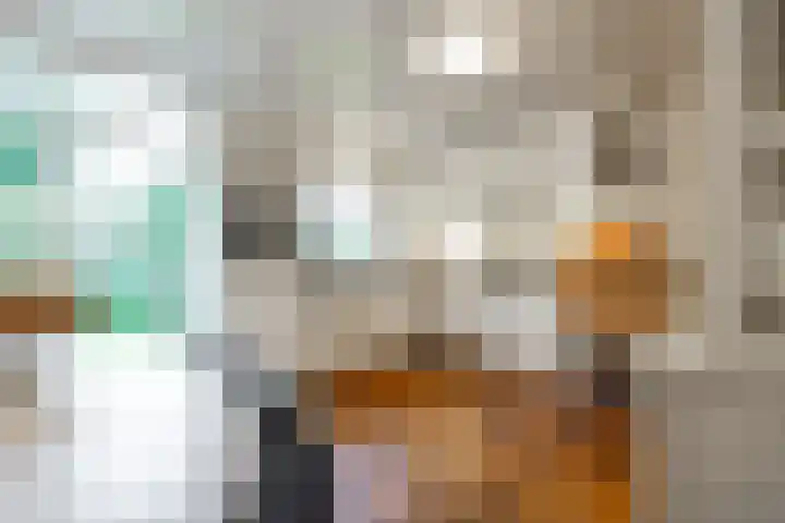 De Wingerd 15 Wierden thumbnail 19