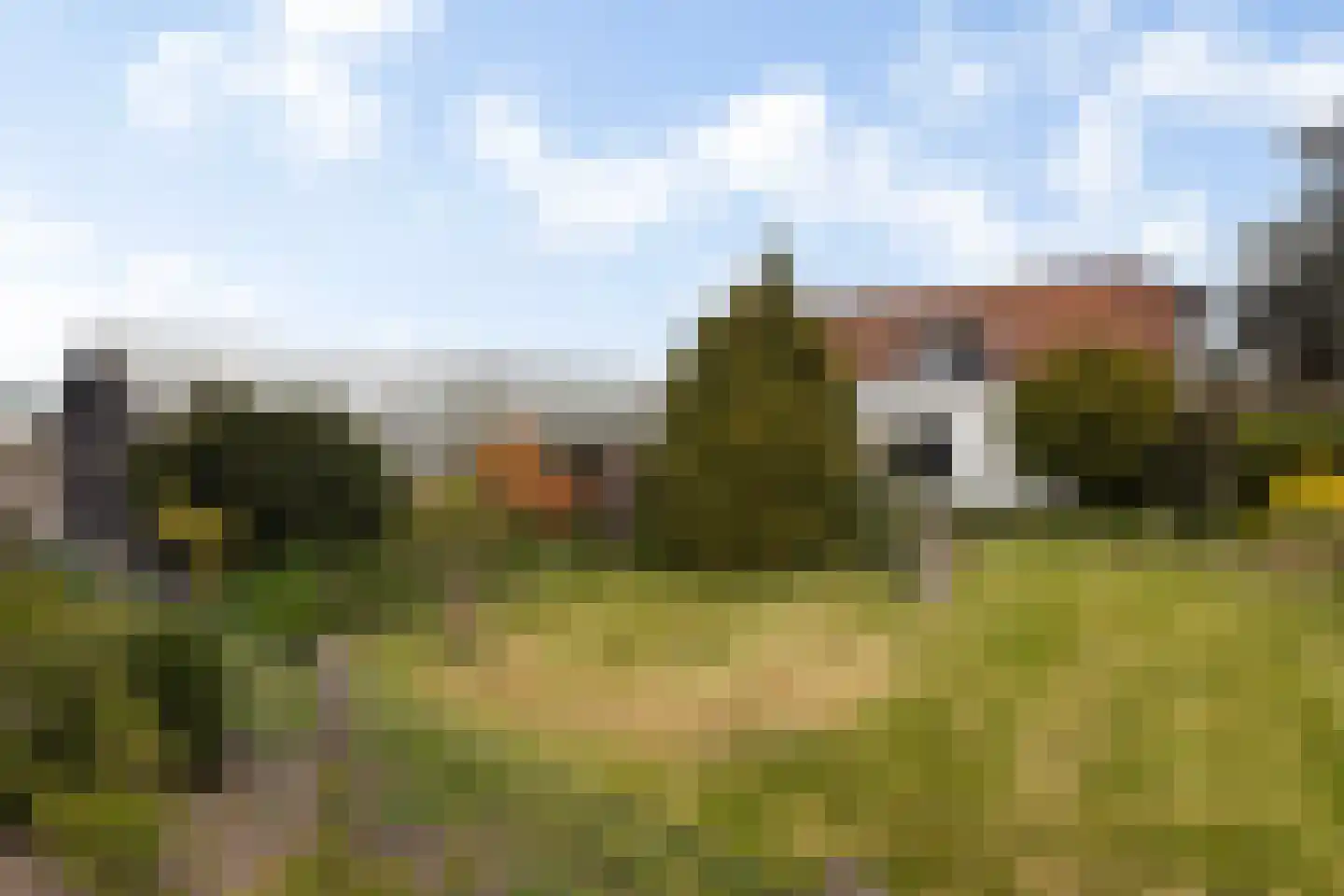 De Wingerd 15 Wierden thumbnail 20