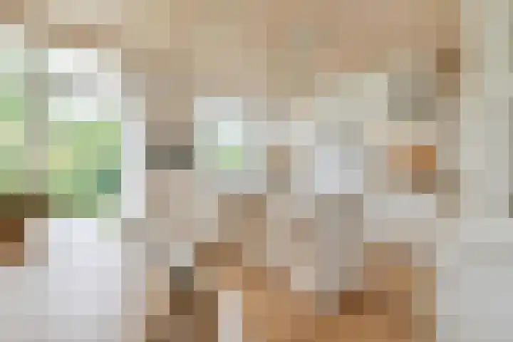 De Wingerd 15 Wierden thumbnail 20