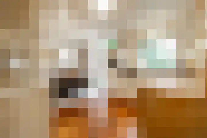 De Wingerd 15 Wierden thumbnail 22