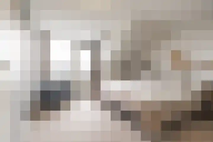 De Wingerd 15 Wierden thumbnail 25
