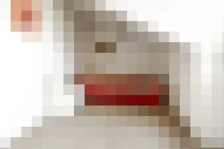 De Wingerd 15 Wierden thumbnail 35