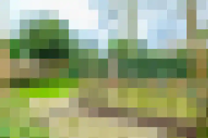 De Wingerd 15 Wierden thumbnail 4