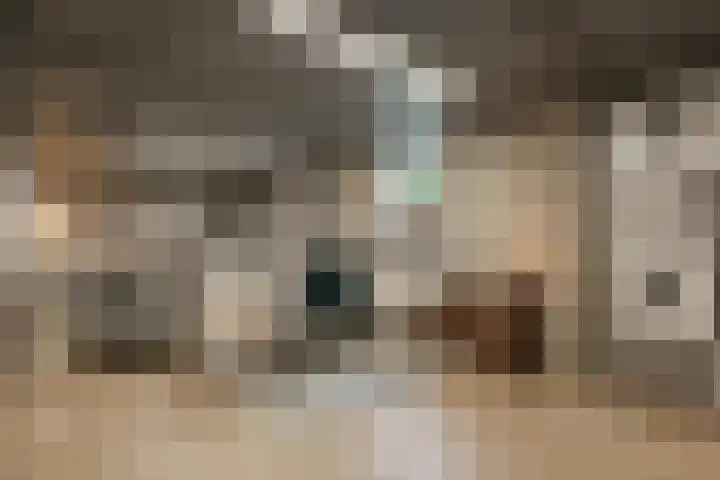De Wingerd 15 Wierden thumbnail 40