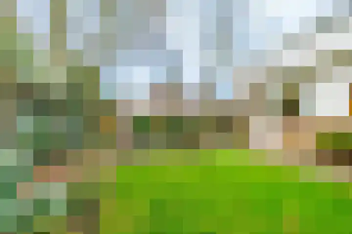 De Wingerd 15 Wierden thumbnail 46
