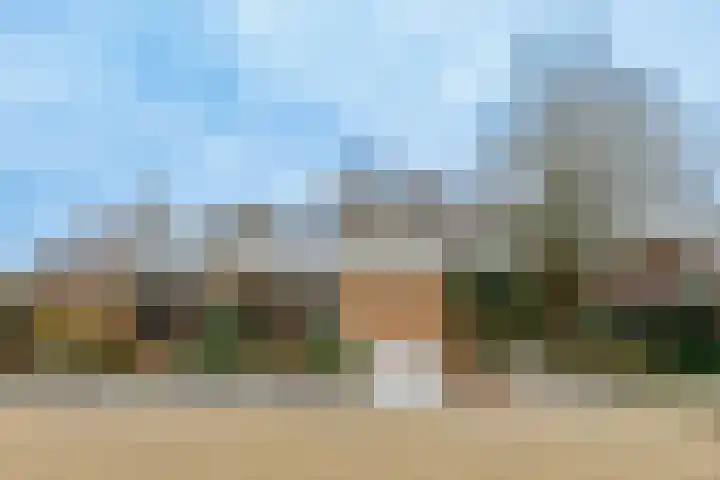 De Wingerd 15 Wierden thumbnail 5