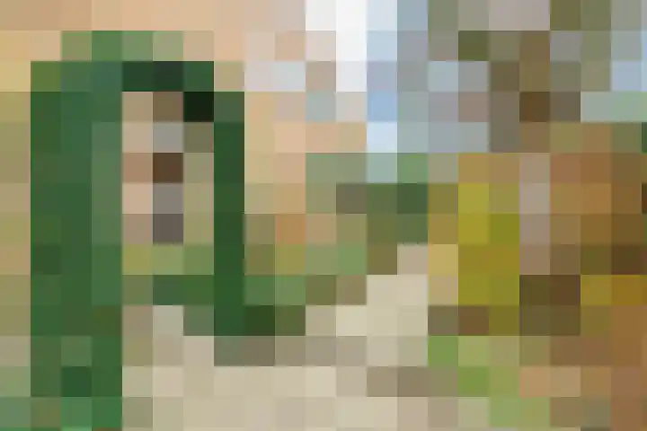 De Wingerd 15 Wierden thumbnail 6