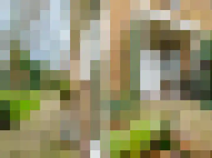 De Wingerd 15 Wierden thumbnail 7