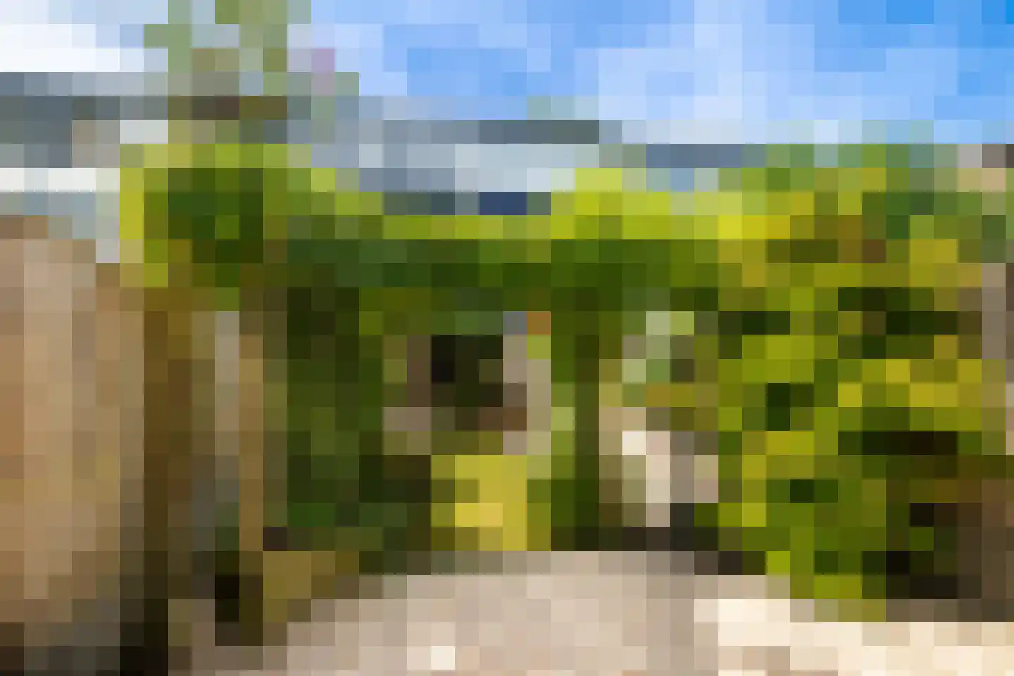 De Wingerd 21 Heerlen thumbnail 22