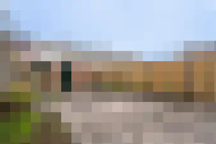 De Wingerd 3 Spijkenisse thumbnail 13