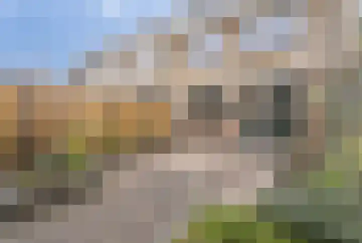 De Wingerd 3 Spijkenisse thumbnail 14