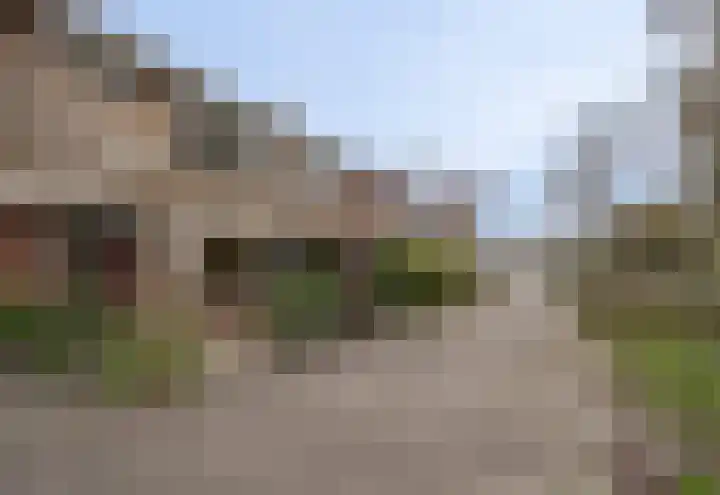 De Wingerd 3 Spijkenisse thumbnail 6